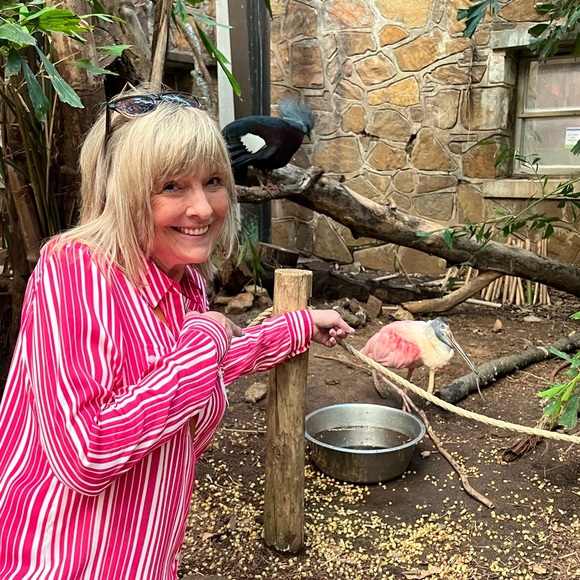 Meet your Posher, Rylee - Picture 1 of 1